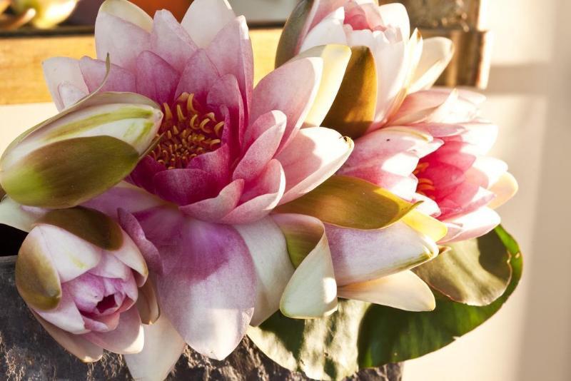 Mansart - Esprit De France Hotel 4*